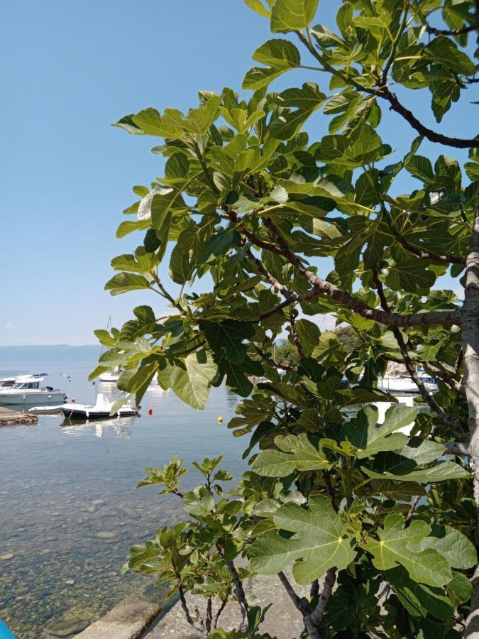 Sunce Apartman Kostrena Kültér fotó